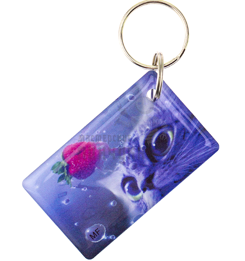 КАРТА.мини  "Котик и клубника" Mifare Zero