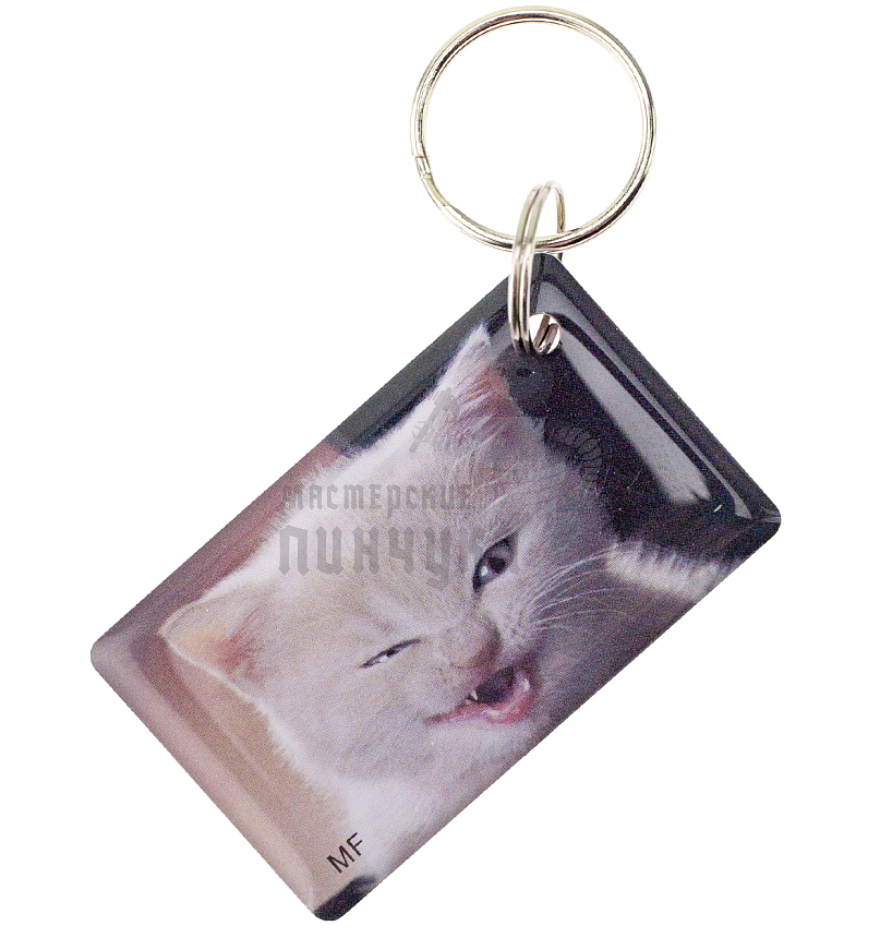 КАРТА.мини  "Котик-мем" Mifare Zero