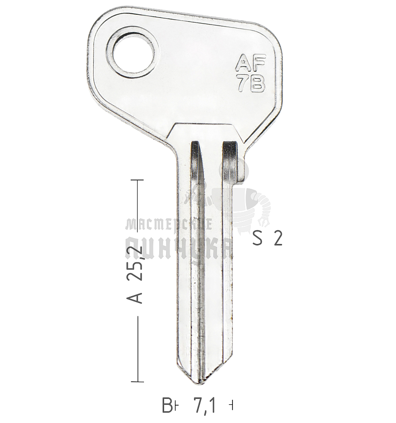 AF19_1292/CD2_AF7B/AF16B