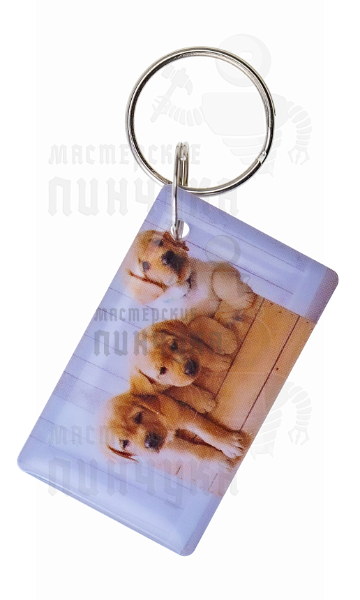 КАРТА.мини RFID "3 СОБАЧКИ"