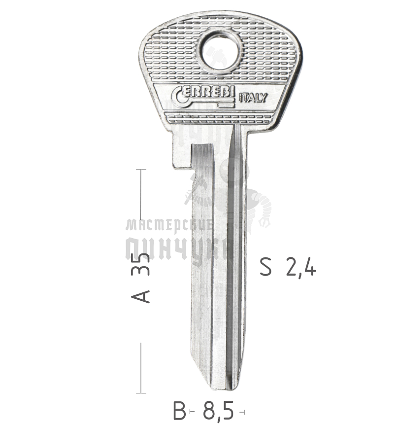 TAL-1   MTS1R   TL3L   TLN1S