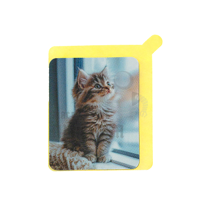 Стикер "Котёнок" T5577