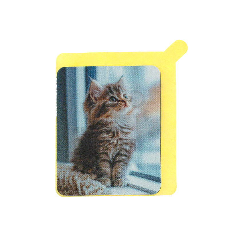 Стикер "Котёнок" T5577