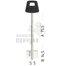 SEN5DP