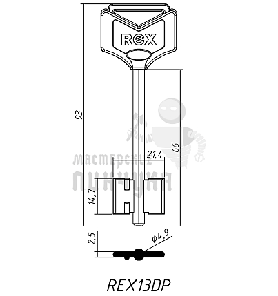 REX13DP жёлтый