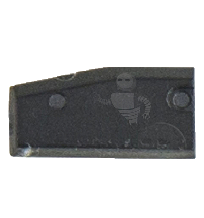 TXG1A TPG1 TexasCrypto3°GEN 80bit перезапис.chip