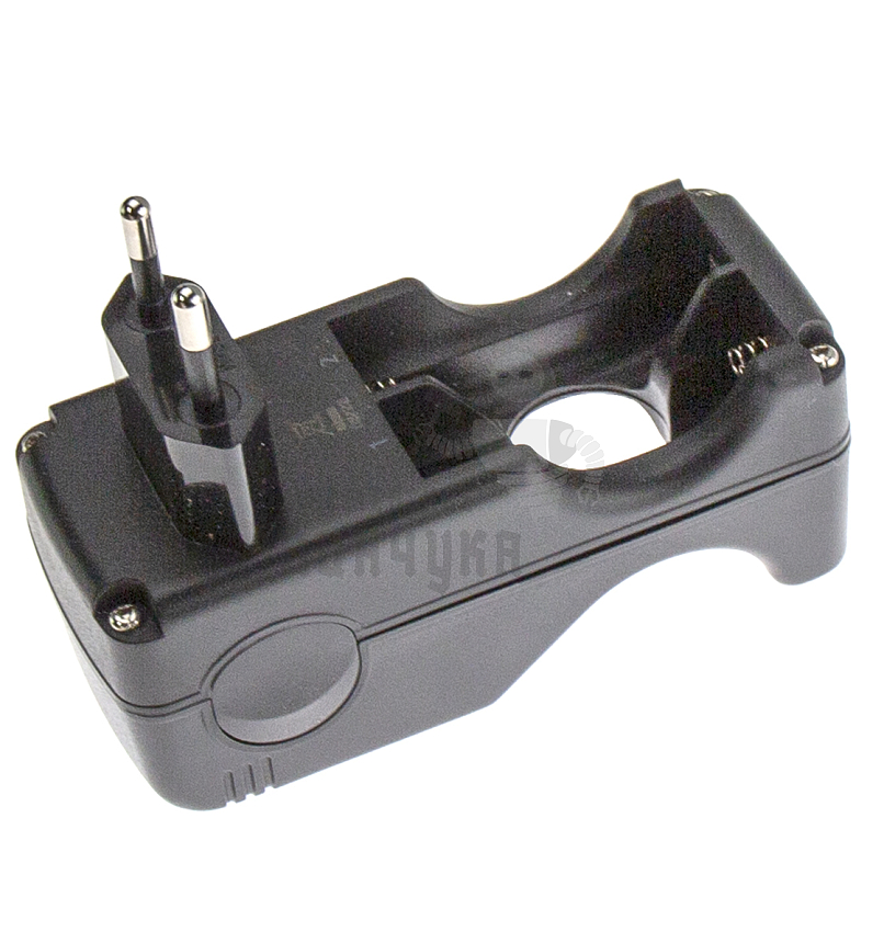 Зарядное устройство для аккумуляторов GoPower Basic 250 Ni-MH/Ni-Cd 4 слота (1/20/40)