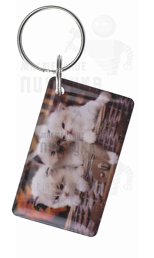 КАРТА.мини RFID "Котята"