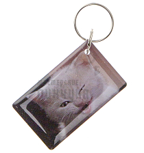 КАРТА.мини RFID "Котик-мем" - Чертеж