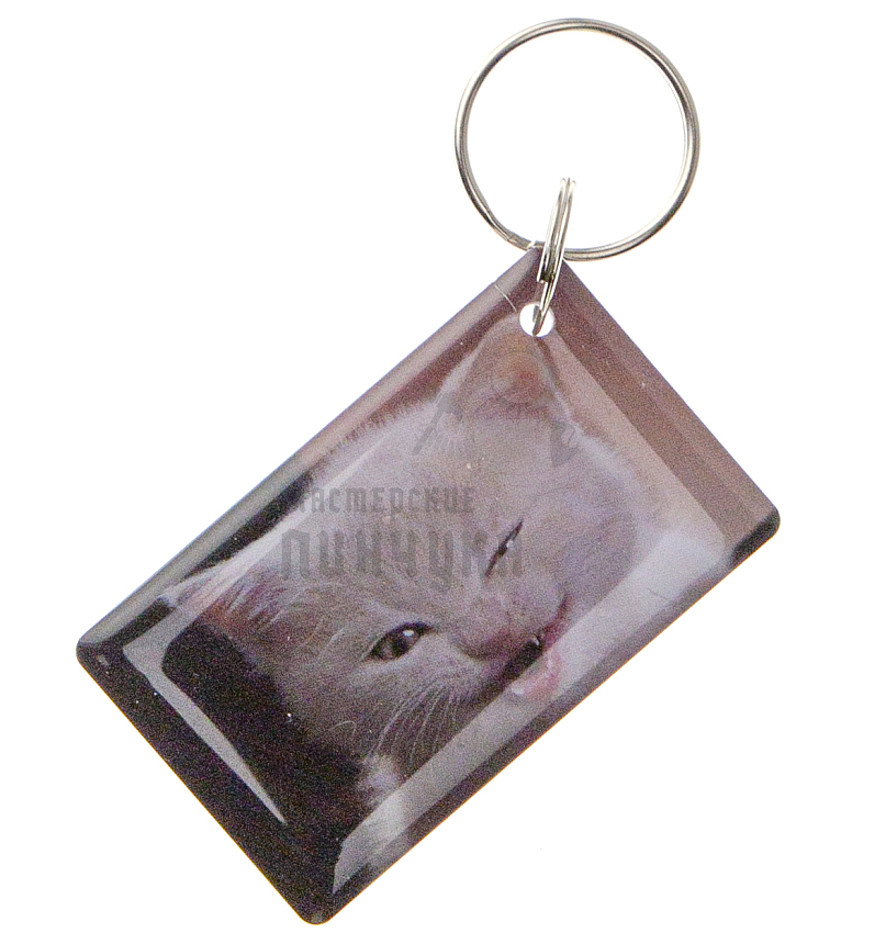 КАРТА.мини RFID "Котик-мем"