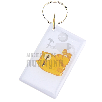 КАРТА.мини RFID "Серьезный котик"