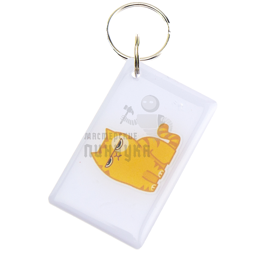 КАРТА.мини RFID "Серьезный котик"