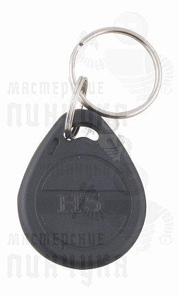 КЛЮЧ-ЗАГОТОВКА  RFID H5.5