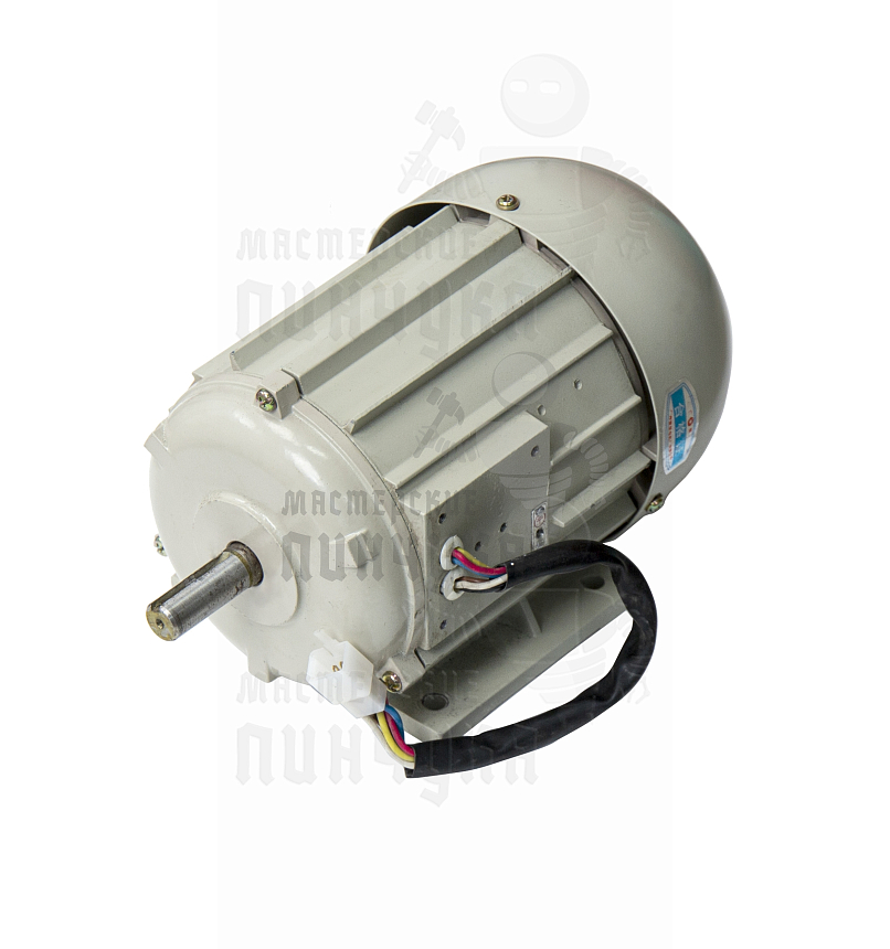 Мотор для универсала 100G две скорости Wenxing