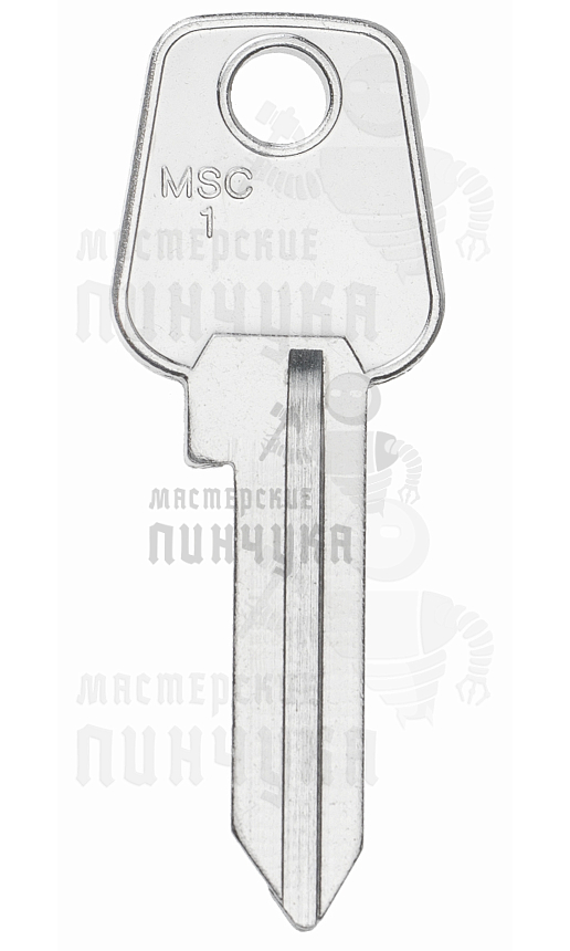 MC1D MCL-1D MSC1 MCL1