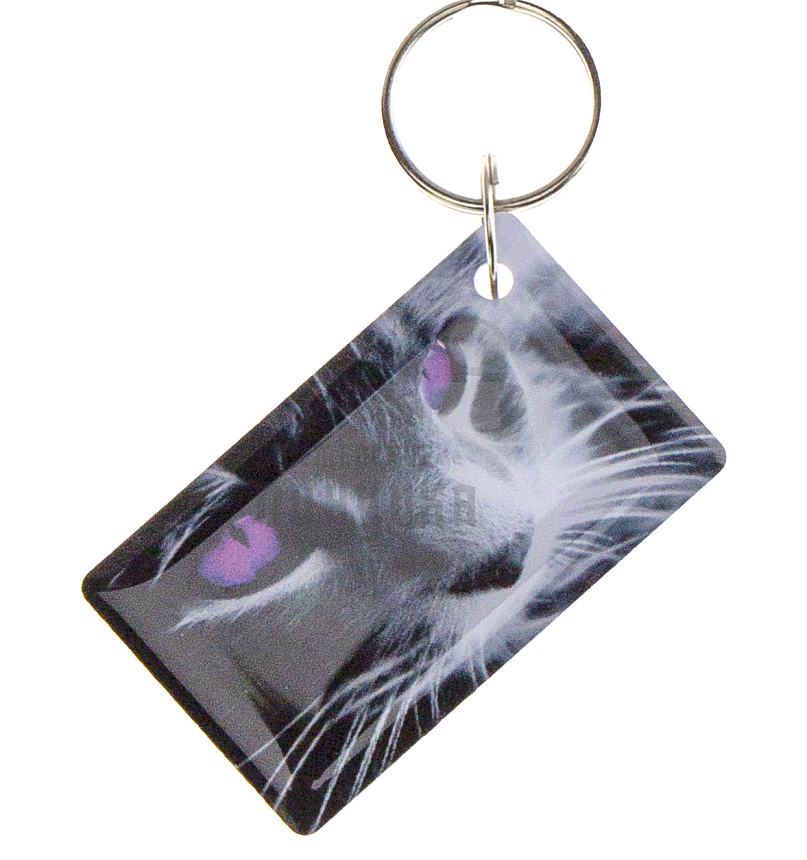 КАРТА.мини RFID "Котик-2"