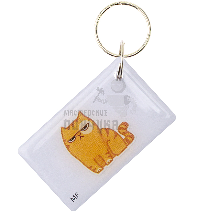 КАРТА.мини "Серьезный котик" Mifare Zero