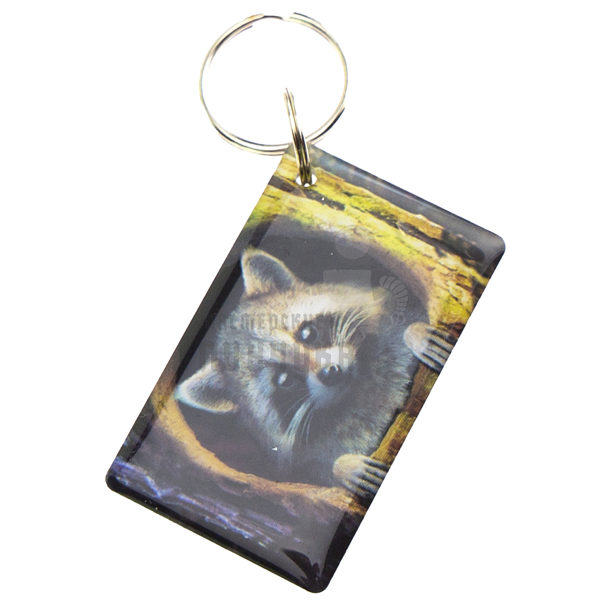 КАРТА.мини RFID "Енот в дупле" 