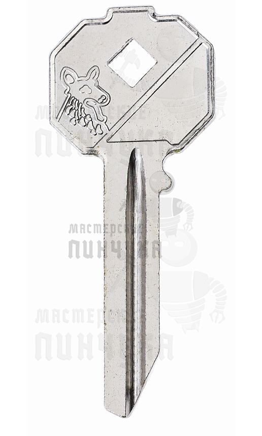 ELP   ELP1R  (КНР)