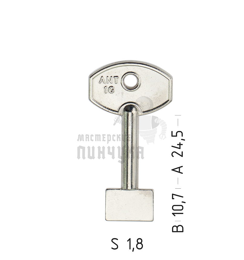 ANT1G APN 6ANP 1AN1L