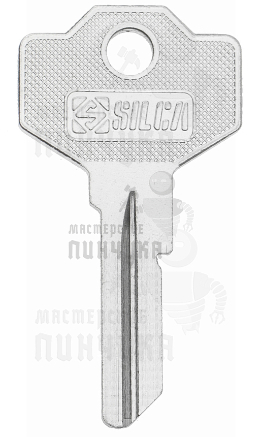 GU1/IBF1R GIU-1 SM1 SMG10