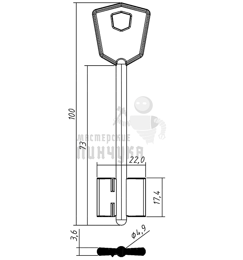 KRT1D (желтый)