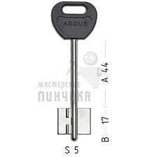 ARG1DP