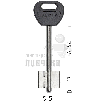 ARG1DP