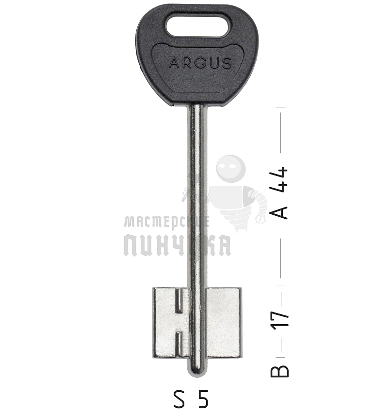 ARG1DP