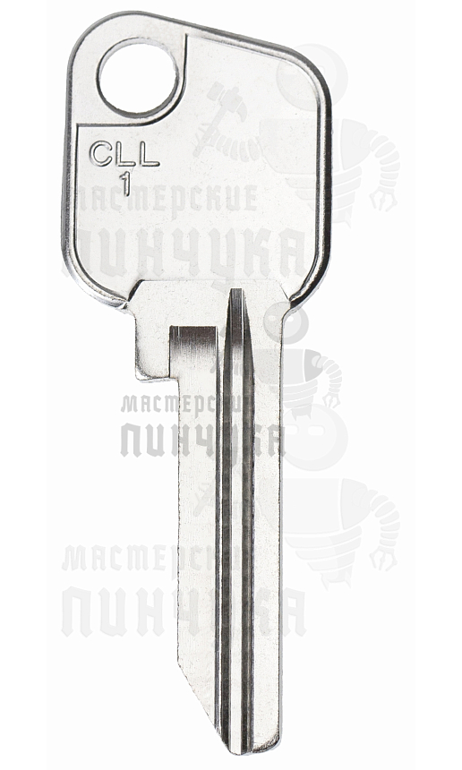 MOG-1D   CLL1   SZ1   COL1D