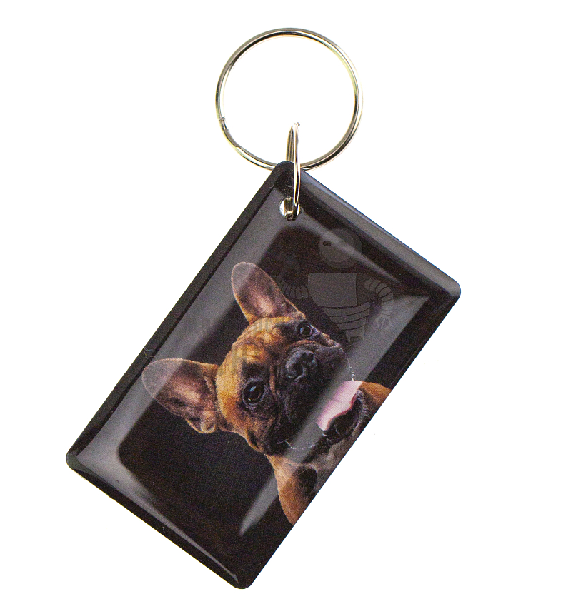 КАРТА.мини iFK "Бульдог"