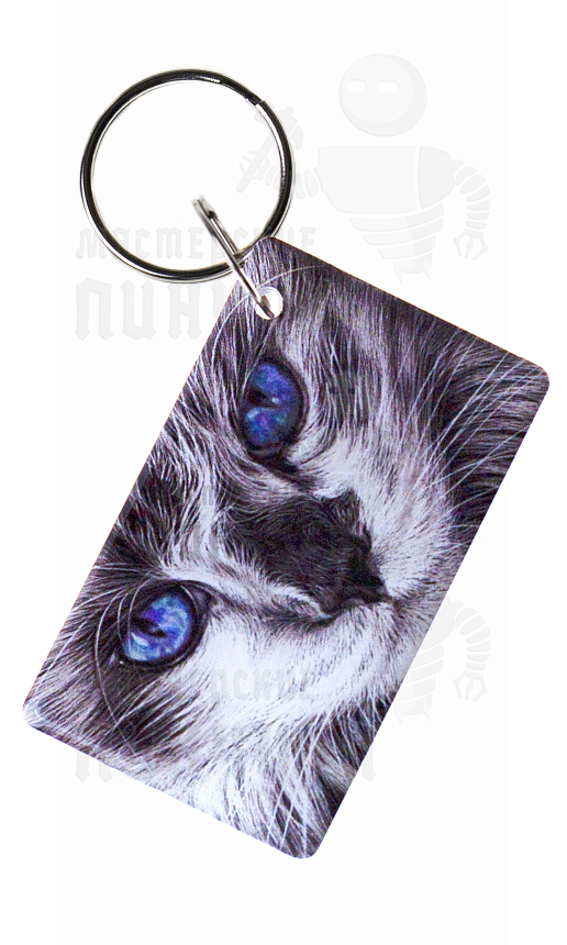 КАРТА.мини RFID "Котик"