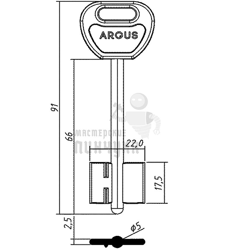 ARG1DP