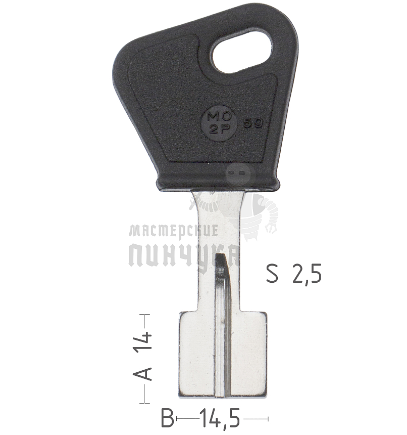 MT-CG.P   MT3P   MTCP   MO2P59