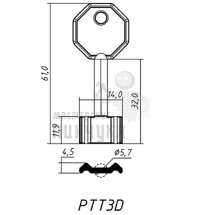 PTT3D