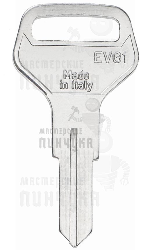 EVG1 EVE-3D ED1 EVD1