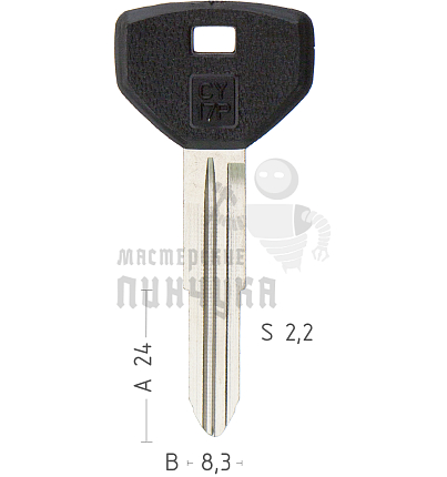 CY17P MS8CP