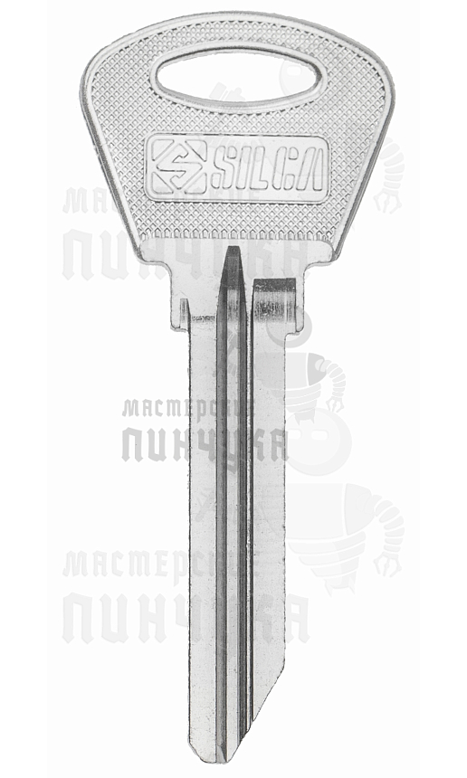 DMT1S DM-1 DMT1R ULK4L