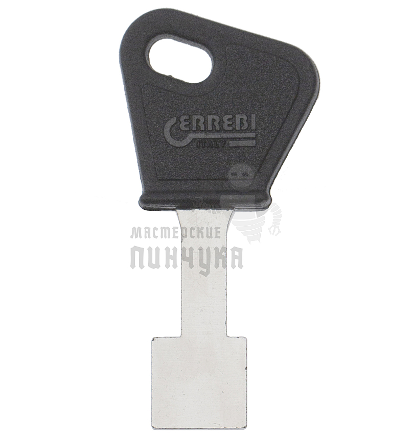 MT-CG.P   MT3P   MTCP   MO2P59