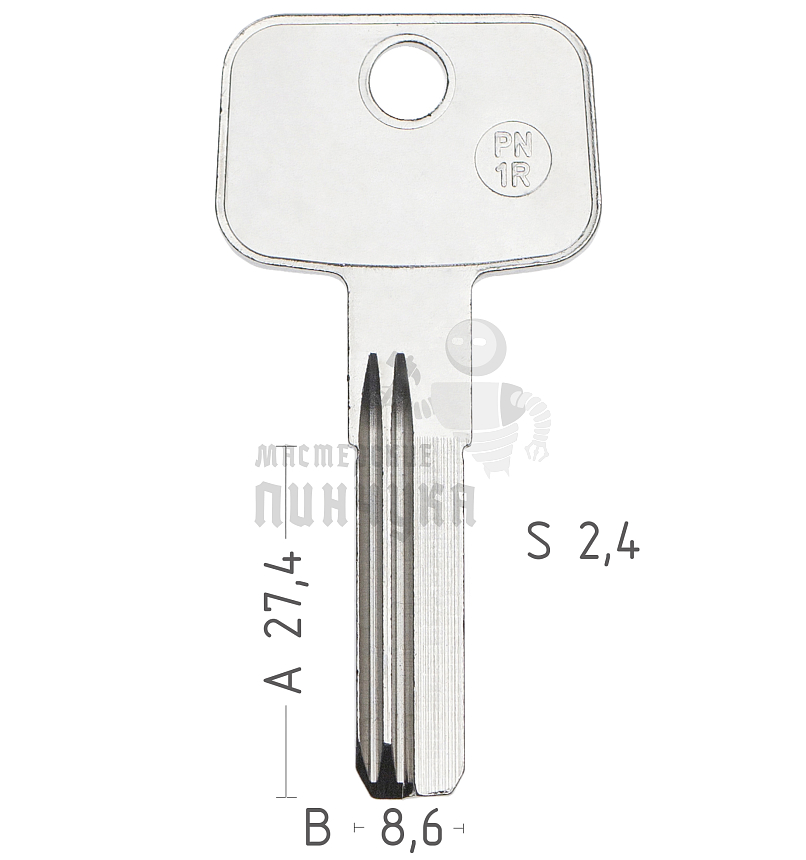 PN 1R  PTN-1D  PT4R  PTN1L 