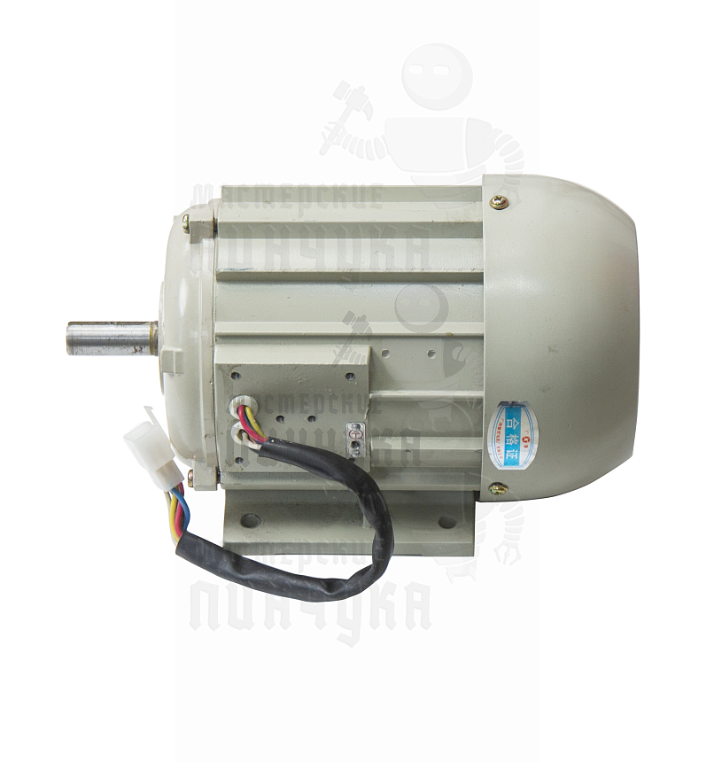 Мотор для универсала 100G две скорости Wenxing