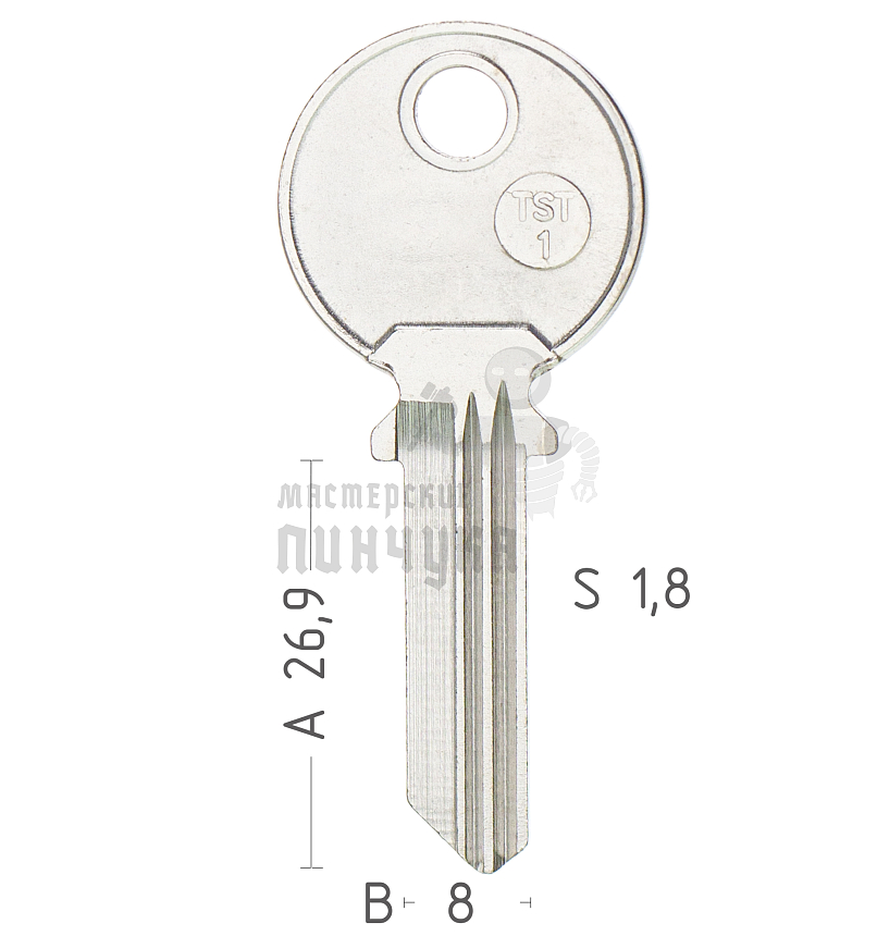 TST1 TRS1R TRS1R TST1