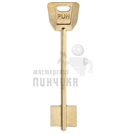 PUN1D